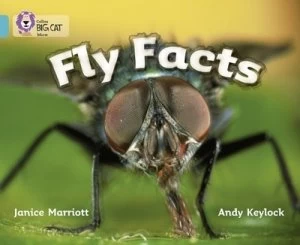 Image of Fly Facts by Janice Marriot