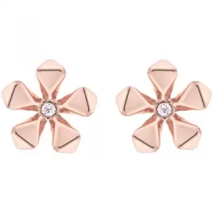 Ladies Karen Millen Rose Gold Plated Petite Geo Flower Stud Earring