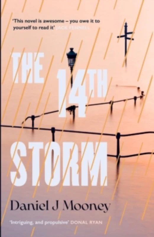 Image of The 14th Storm : in 2043, the climate has finally changed Paperback / softback