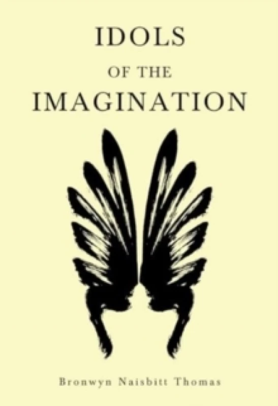 Image of Idols of the Imagination Paperback / softback