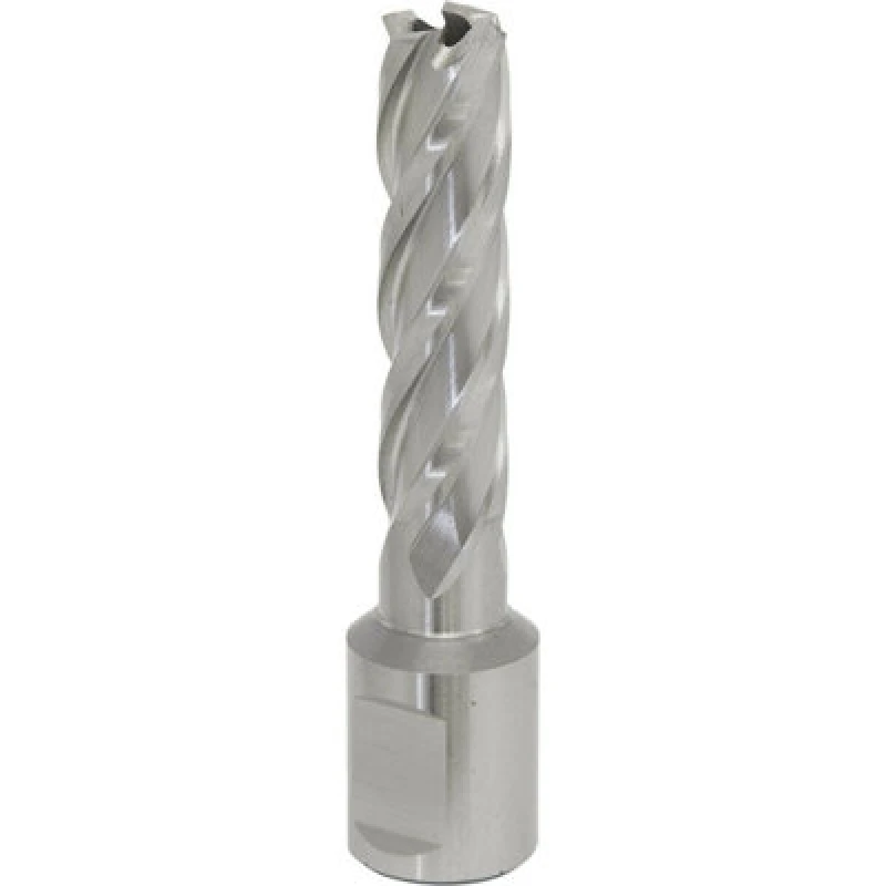 Image of Loops 13mm x 50mm Depth Rotabor Cutter - M2 Steel Annular Metal Core Drill 19mm Shank Metallics