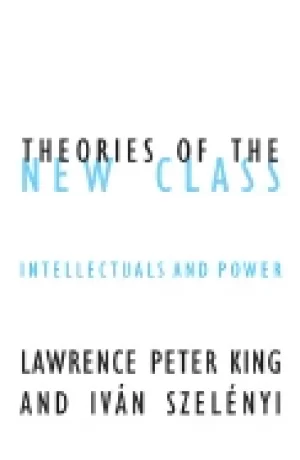 Image of theories of the new class intellectuals and power