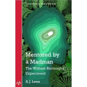 Image of Mentored by a Madman The William Burroughs Experiment Paperback / softback 2019