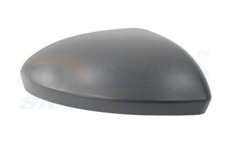 Image of VAN WEZEL Wing mirror cover VAN WEZEL 1510842