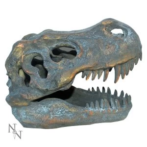 Image of Tyrannosaurus Rex Skull Freestanding