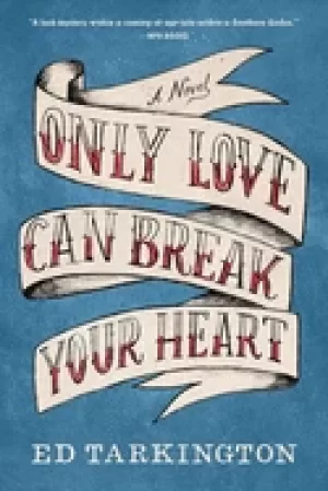 Image of only love can break your heart a novel