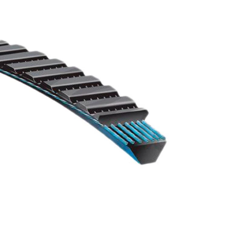 Image of GATES 11M875 V Belt Length: 875mm, Width: 11mm V-Belt (10)