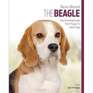 Image of Beagle: Best of Breed by Ann Phillips (Paperback, 2016)