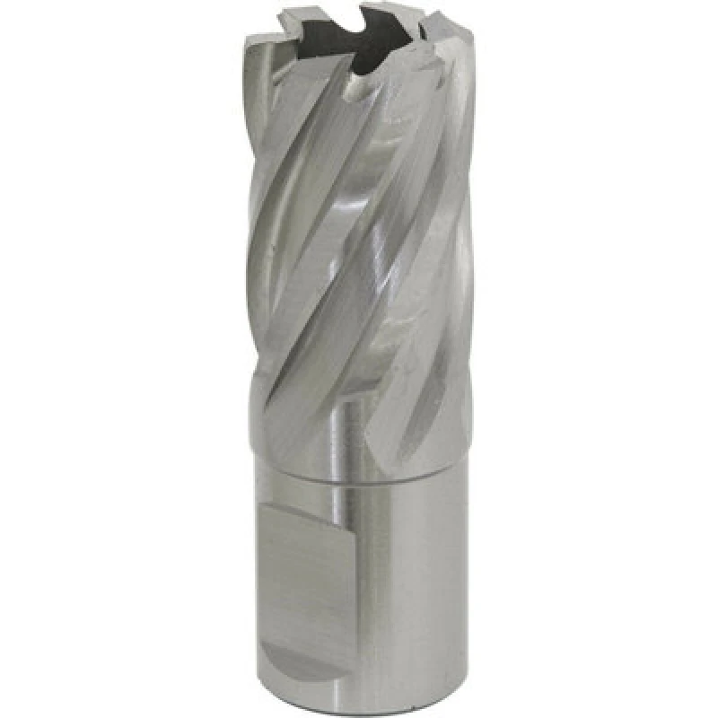 Image of Loops 20mm x 25mm Depth Rotabor Cutter - M2 Steel Annular Metal Core Drill 19mm Shank Metallics