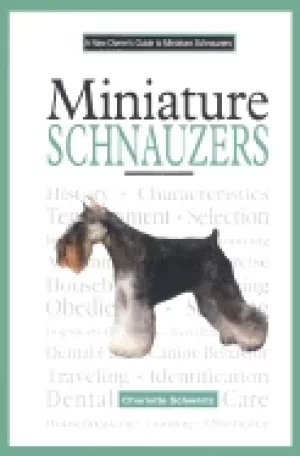 Image of miniature schnauzers