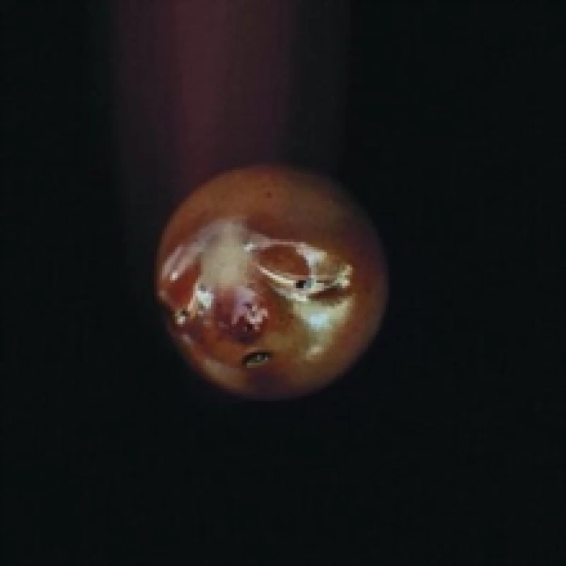 Image of poolblood - Mole [CD / Album] Music CDs - Music CD