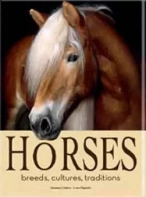 Image of Horses by Susanna Cottica