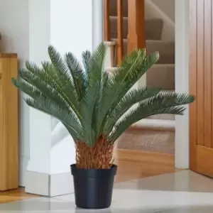 Image of Smart Garden Sago Palm