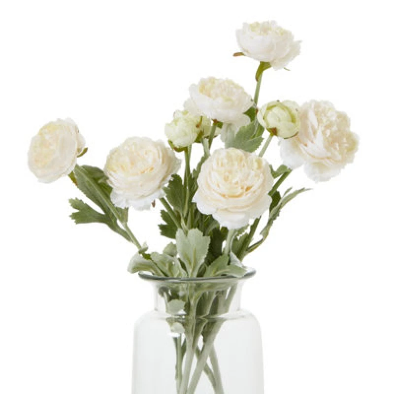 Image of The Natural Garden Collection Apricot Ranunculus
