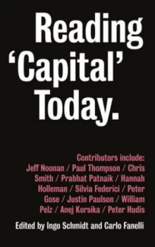 Image of Reading capital Today by Ingo Schmidt Book