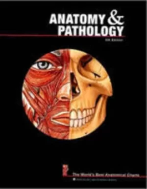 Image of Anatomy and Pathology The Worlds Best Anatomical Charts by Anatomical Chart Company