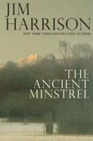 Image of ancient minstrel