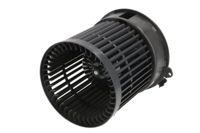 Image of THERMOTEC Blower motor THERMOTEC DD1003TT