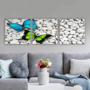 Image of Pdr9987 Multicolor Decorative Canvas Painting (3 Pieces)