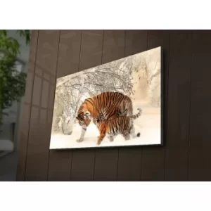 Image of 4570?ACT-81 Multicolor Decorative LED Lighted Canvas Painting