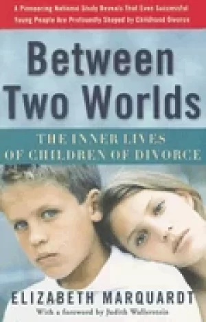 Image of between two worlds the inner lives of children of divorce