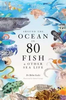 Image of Around the Ocean in 80 Fish and other Sea Life