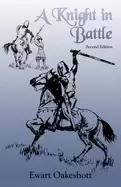 Image of knight in battle