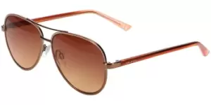 image of Ted Baker Sunglasses TB1644 404