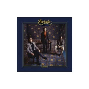 Image of Barbudo - Sunshine Vinyl