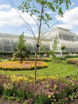 image of Virgin Experience Days Visit To Kew Gardens And Palace With Afternoon Tea For Two