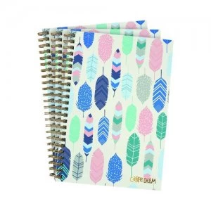 Image of Pukka Feathers Hardback Notebook B5 Blue Pack of 3 9379-CD