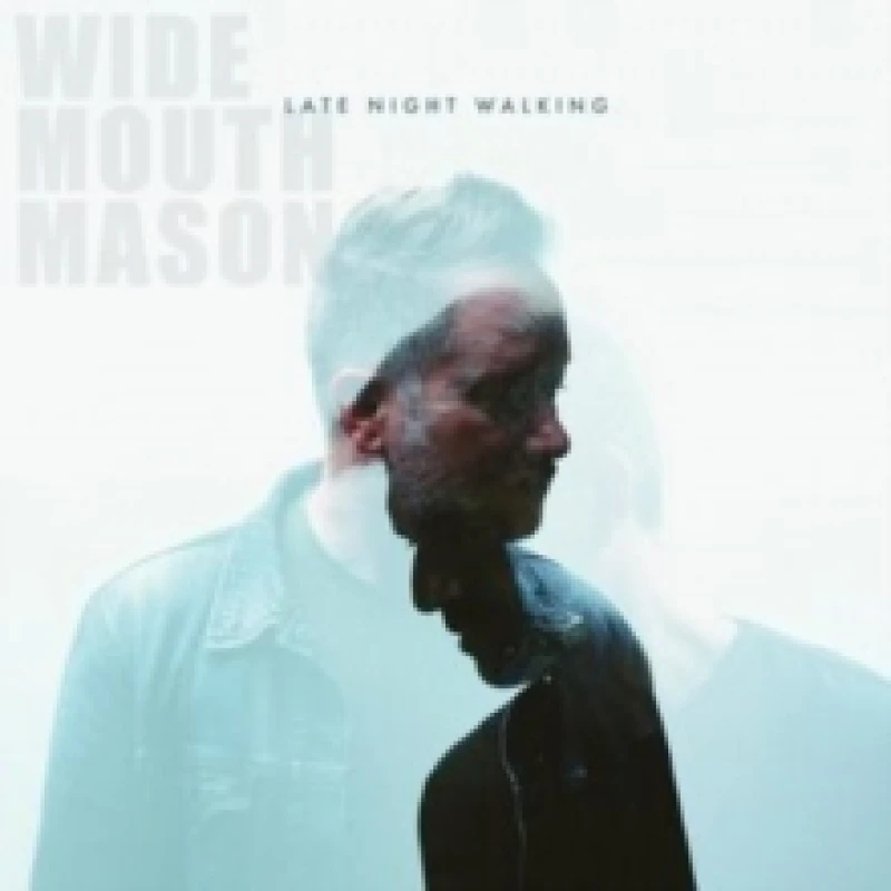 Image of Late night walking Vinyl