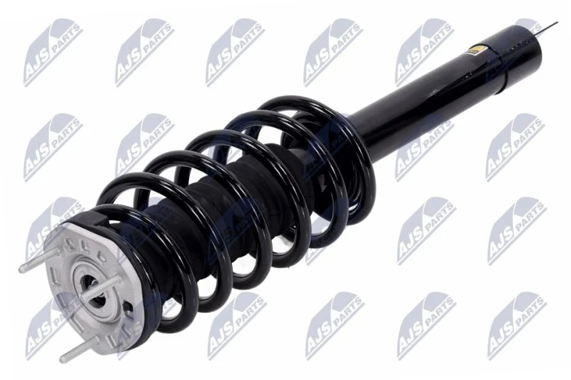 Image of NTY A-CH-118 Shock absorber Front Axle Right, Gas Pressure, Suspension Strut, Top pin Shock Absorber (854)