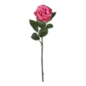 Image of Gallery Interiors Aldona Rose Stem Pink / Medium Set of 12