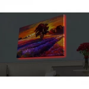 Image of 4570HDACT-038 Multicolor Decorative LED Lighted Canvas Painting