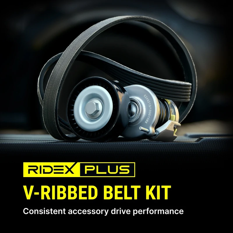 Image of RIDEX PLUS V-Ribbed Belt Set RIDEX PLUS 542R0020P