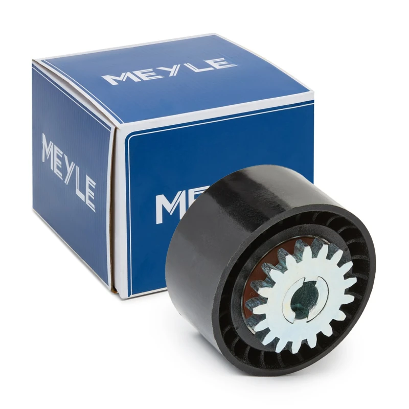 Image of Tensioner pulley MEYLE 16-14 009 0013