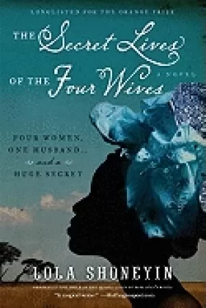 Image of secret lives of the four wives