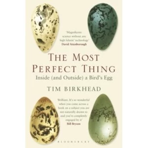 Image of The Most Perfect Thing : Inside (and Outside) a Bird's Egg