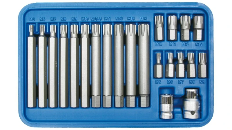 Image of Screwdriver Bit Set SW-Stahl 04425L