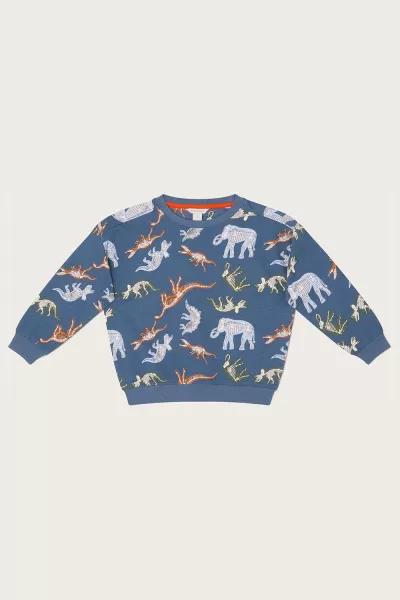 Glow in the Dark Dinosaur Print Sweatshirt