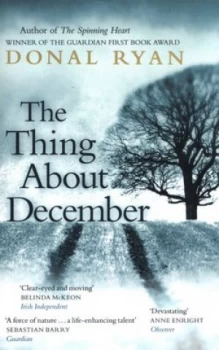 Image of The Thing about December by Donal Ryan Paperback