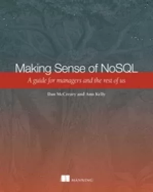 Image of making sense of nosql a guide for managers and the rest of us