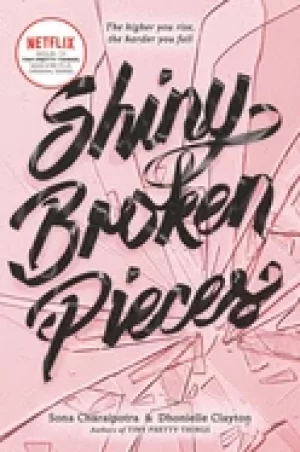 Image of shiny broken pieces a tiny pretty things novel