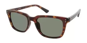 image of Prive Revaux Sunglasses THE DEAN/S WR9/UC