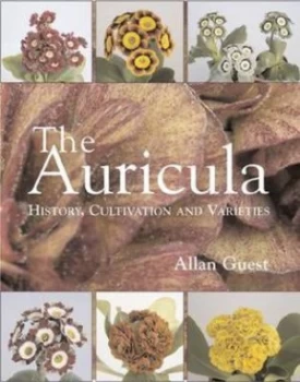 Image of The Auricula by Allan Guest Hardback