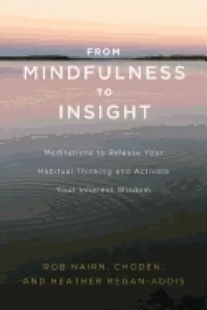 Image of from mindfulness to insight meditations to release your habitual thinking a