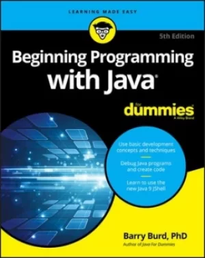 Image of Beginning programming with Java by Barry Burd