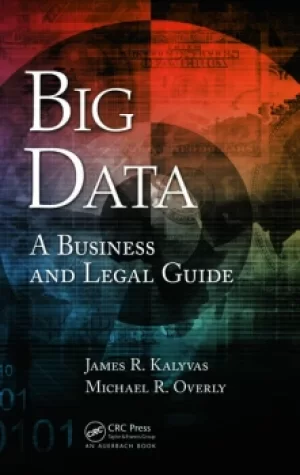 Image of Big DataA Business and Legal Guide