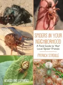 Image of Spiders in Your Neighborhood : A Field Guide to Your Local Spider Friends, Revised and Expanded